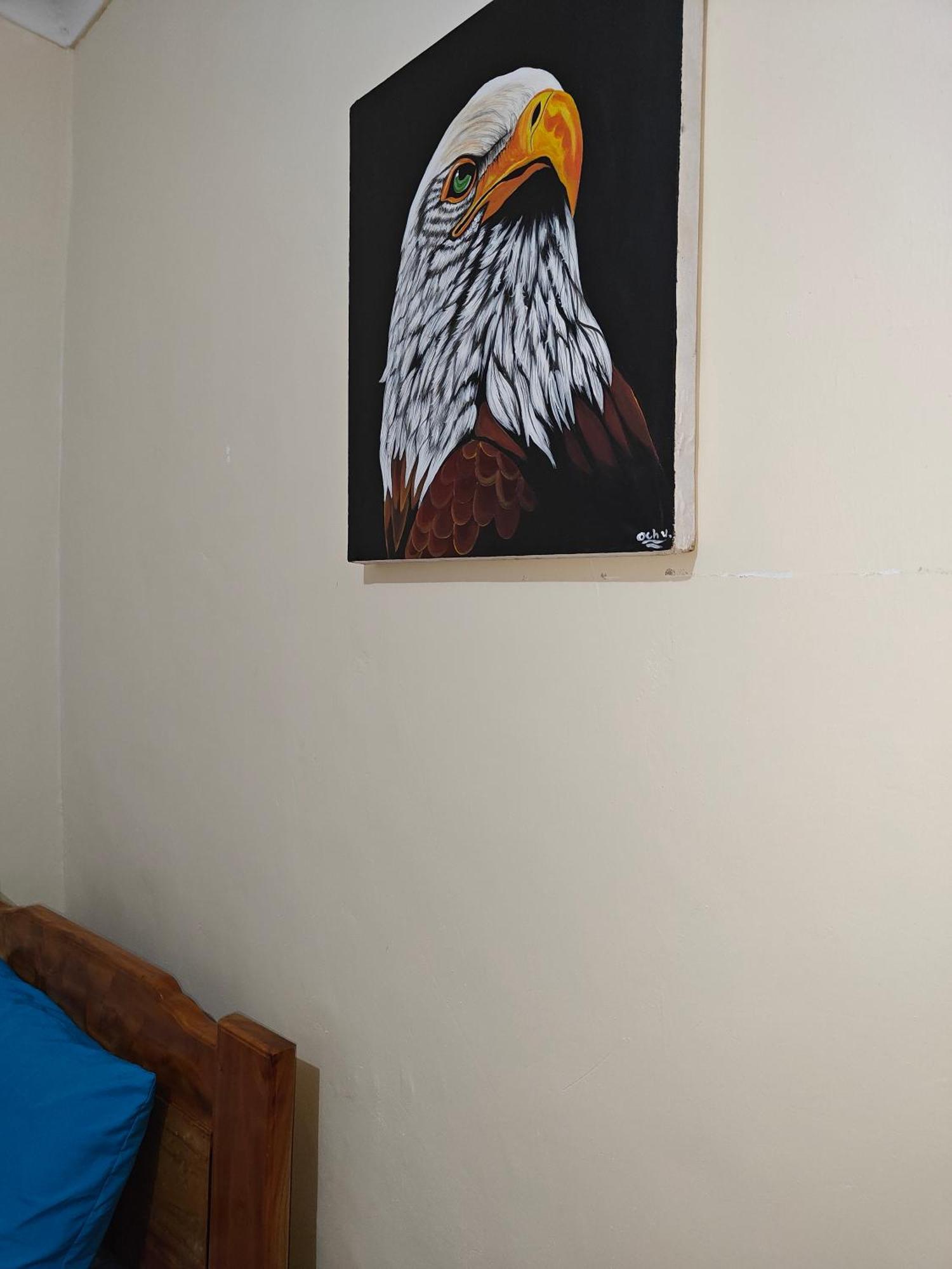 Hostel Kiliwood モシ エクステリア 写真